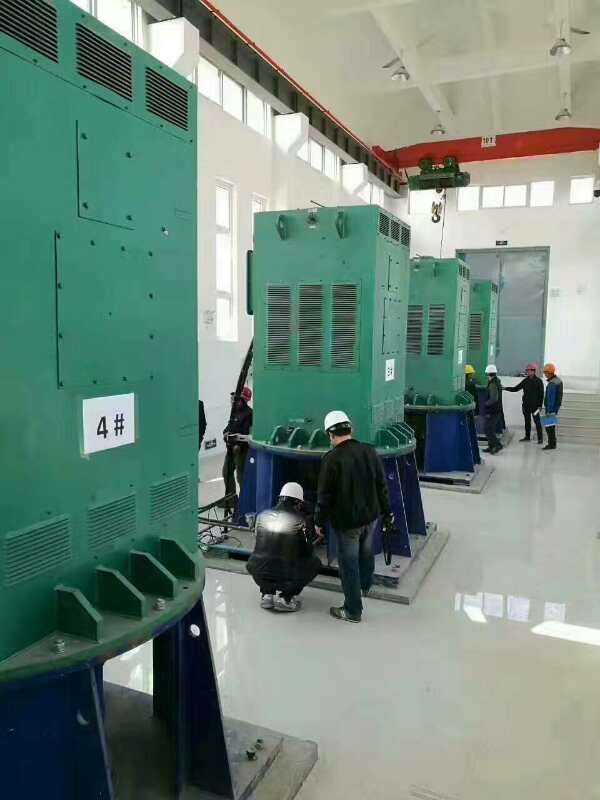 阿合奇某污水处理厂使用我厂的立式高压电机安装现场